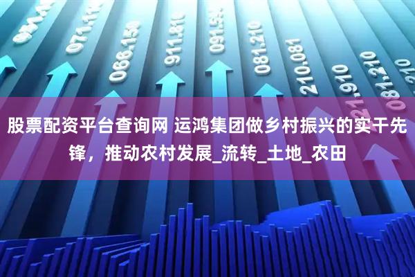 股票配资平台查询网 运鸿集团做乡村振兴的实干先锋，推动农村发展_流转_土地_农田